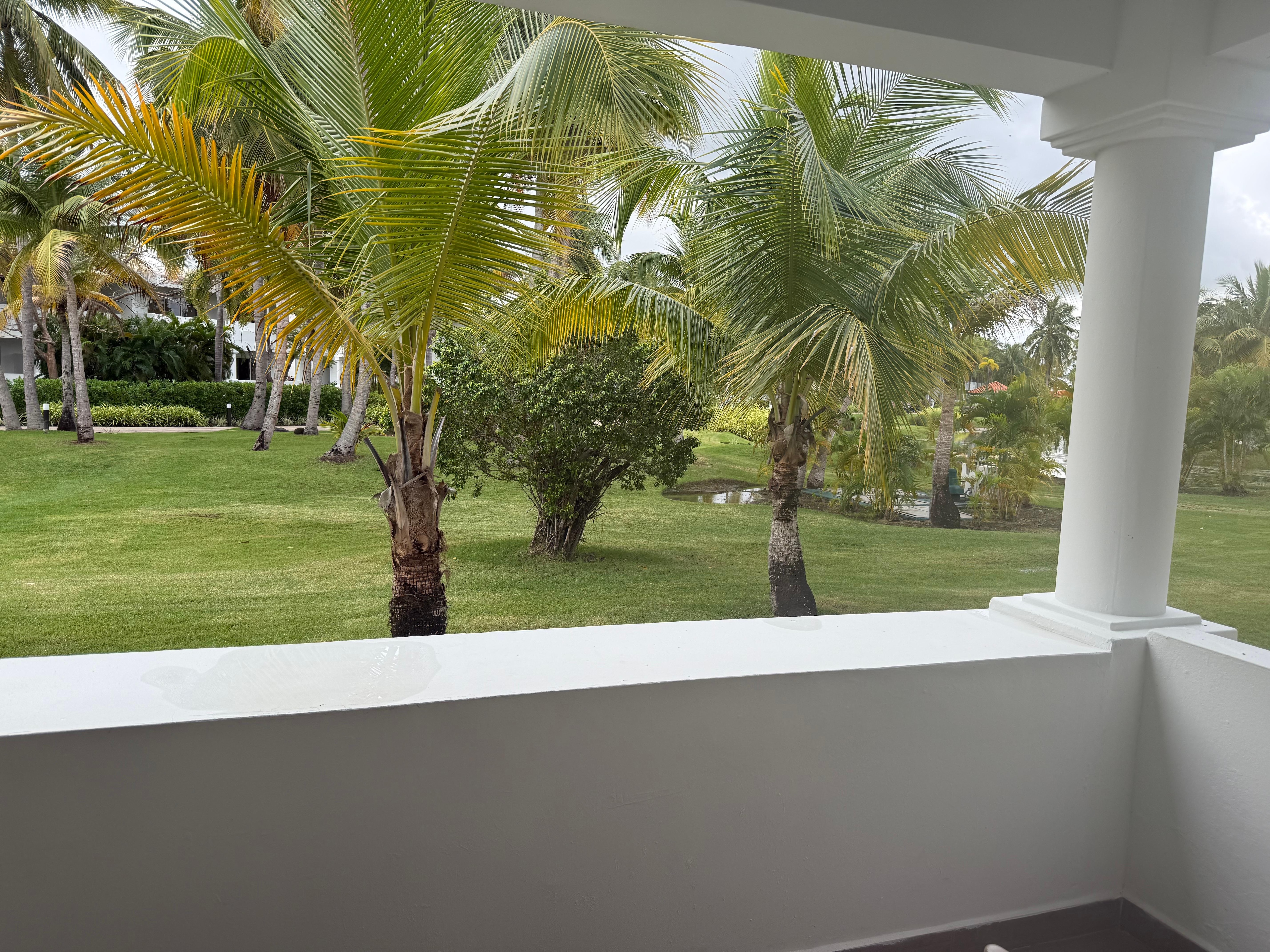 View of the outside from the room.