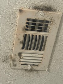 Moldy vent