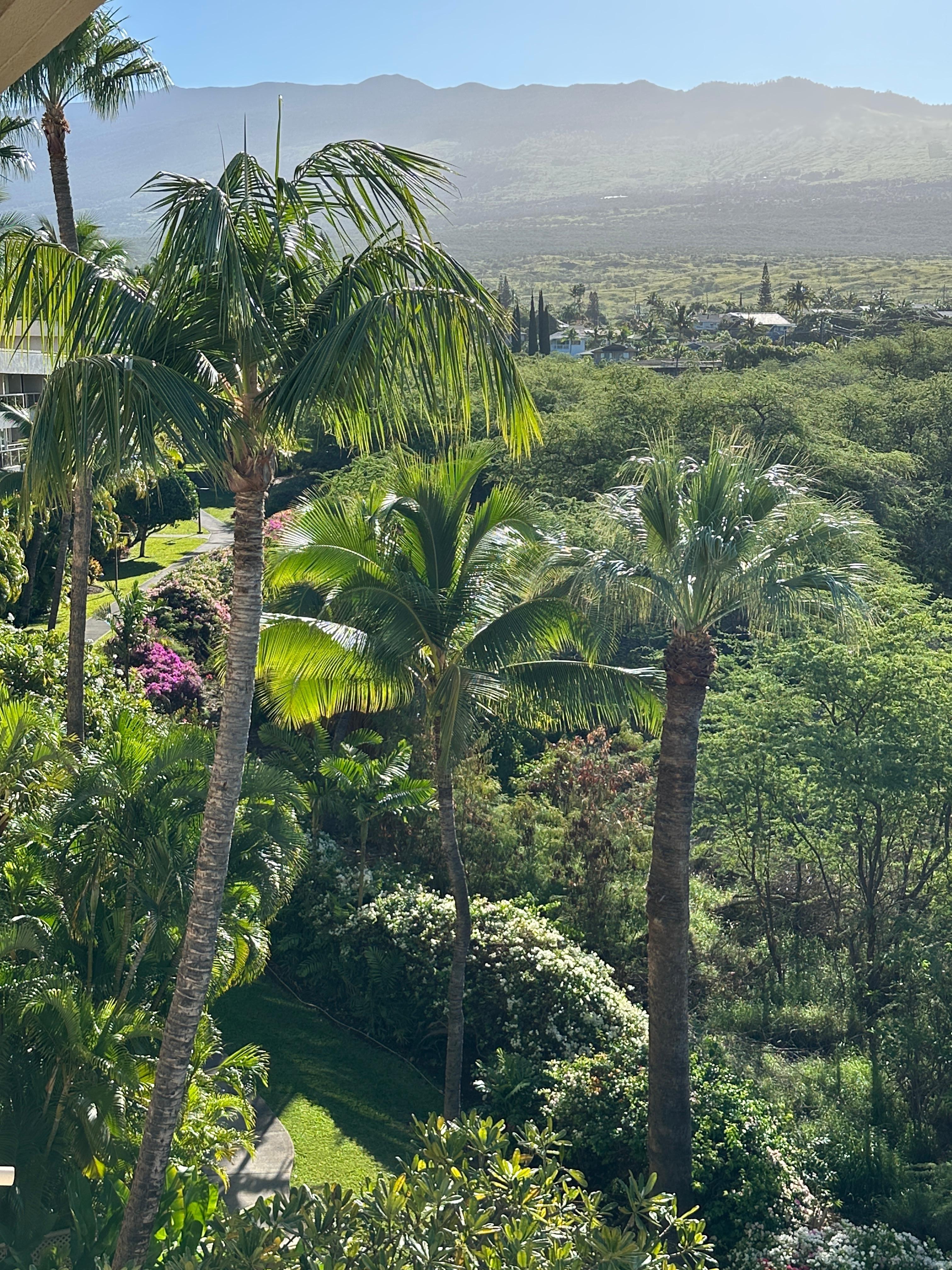 From our narrow balcony