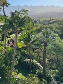 From our narrow balcony
