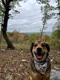 The view going up was beautiful!