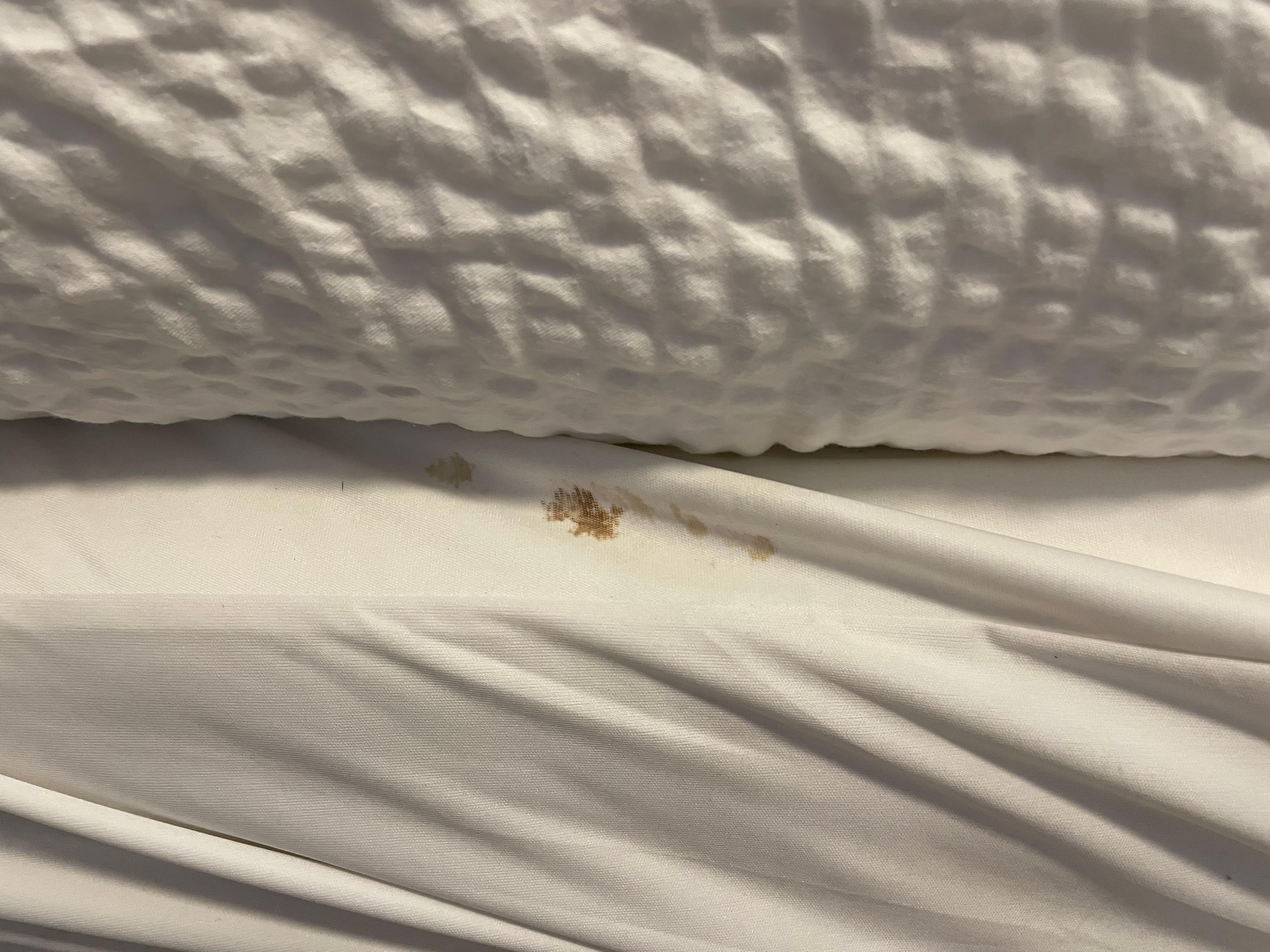 Blood or some kind of stain on the sheets in the guest bedroom. 