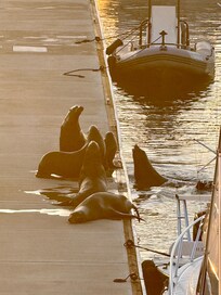 Breakfast companions.
