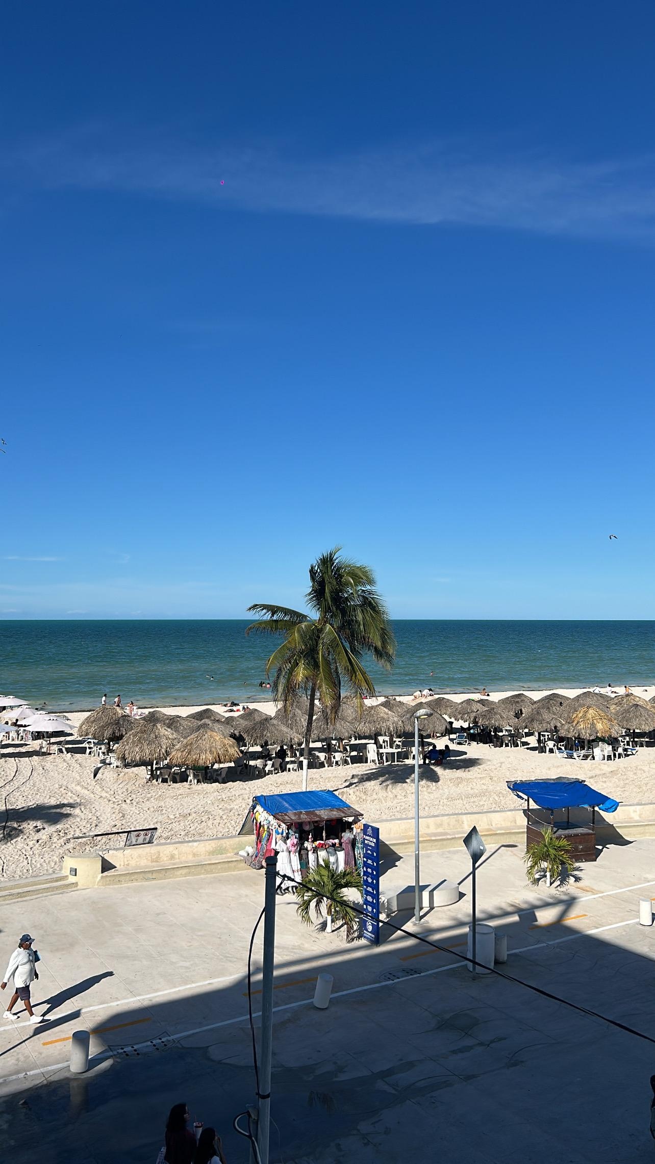 Vista desde la avitación