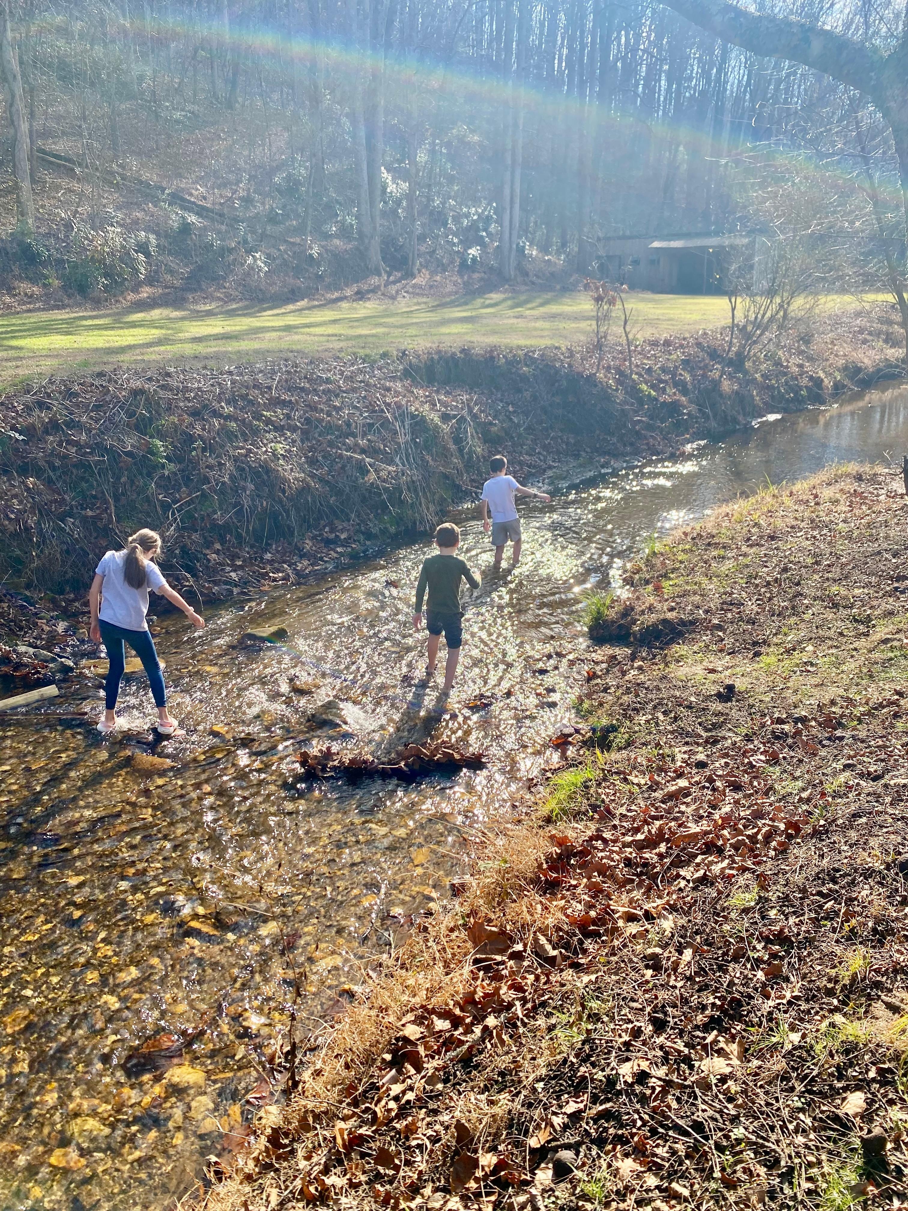 Creek at the house