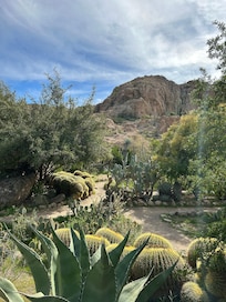 Boyce Thompson Arboretum in Superior