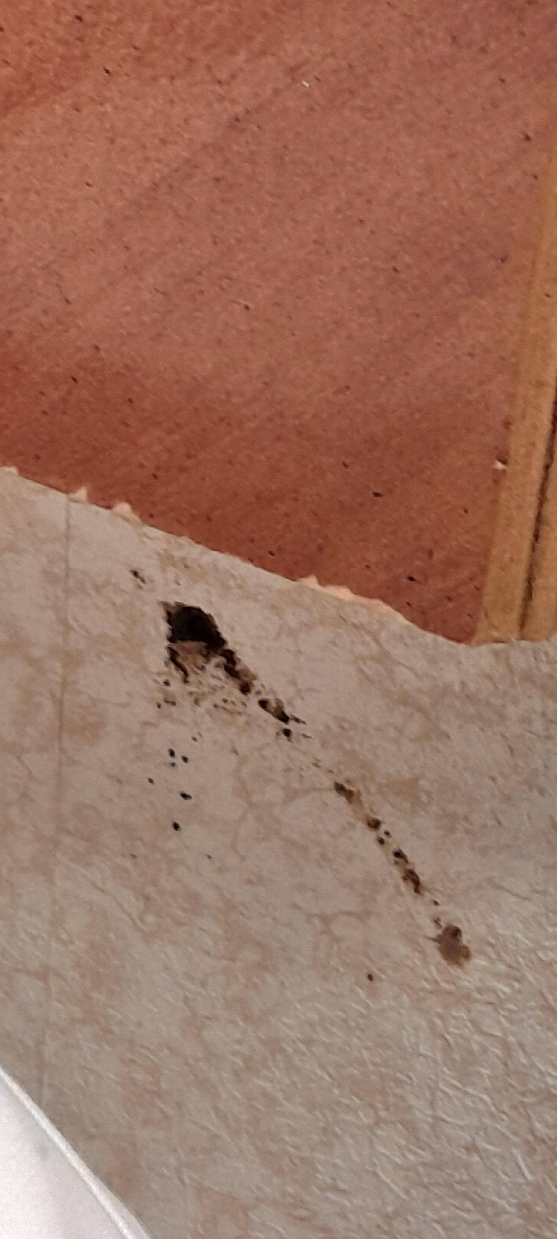 Stains on the bedroom wall