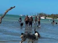 Dog beach fort meyers