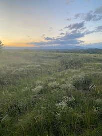 Meadow close to the house