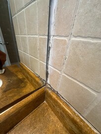 They tried to cover the mold with paint I believe