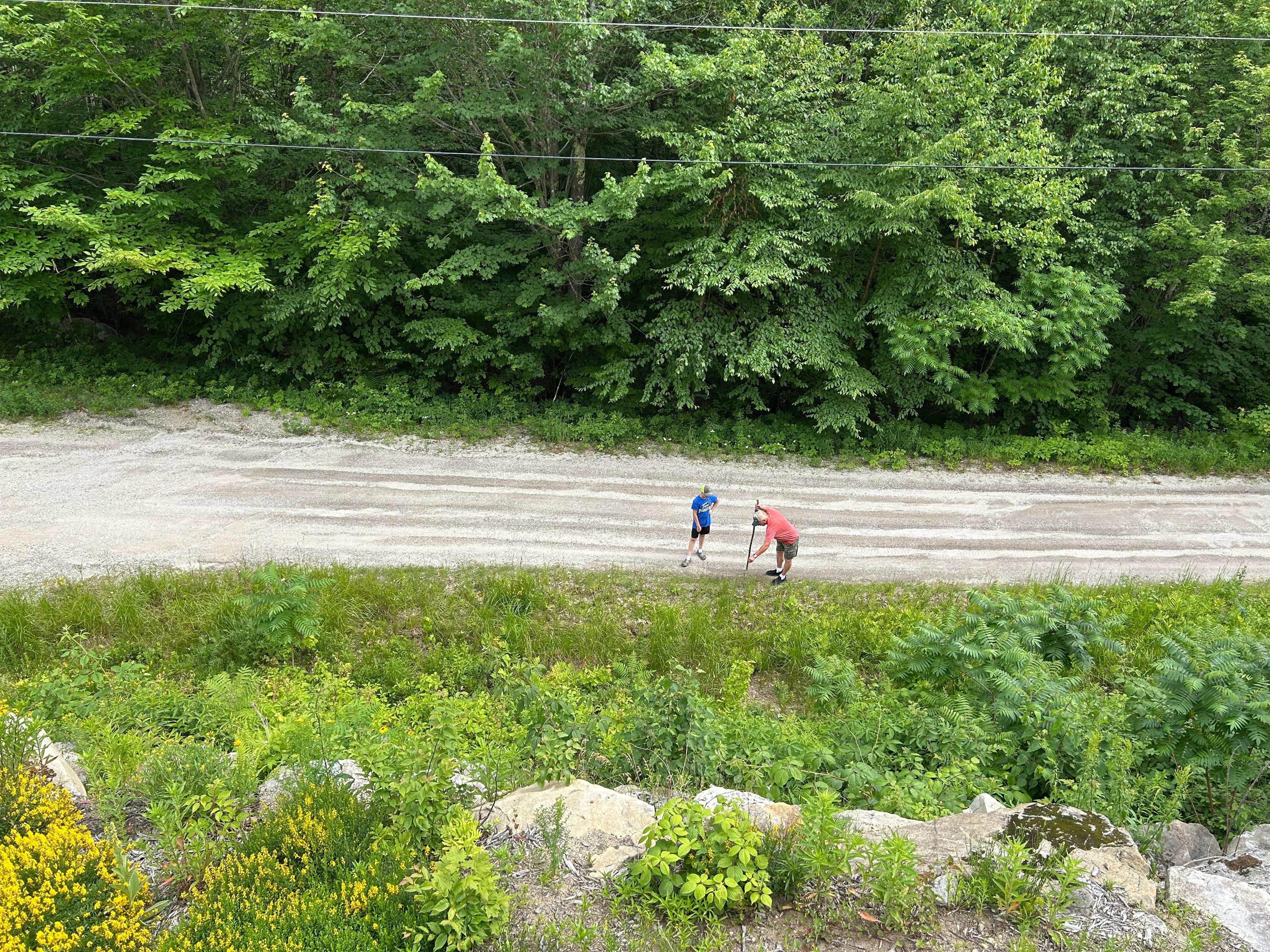 Road below, took a walk
