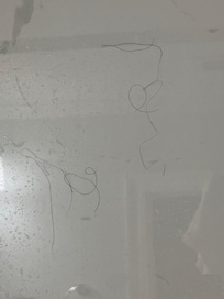 Hair in shower