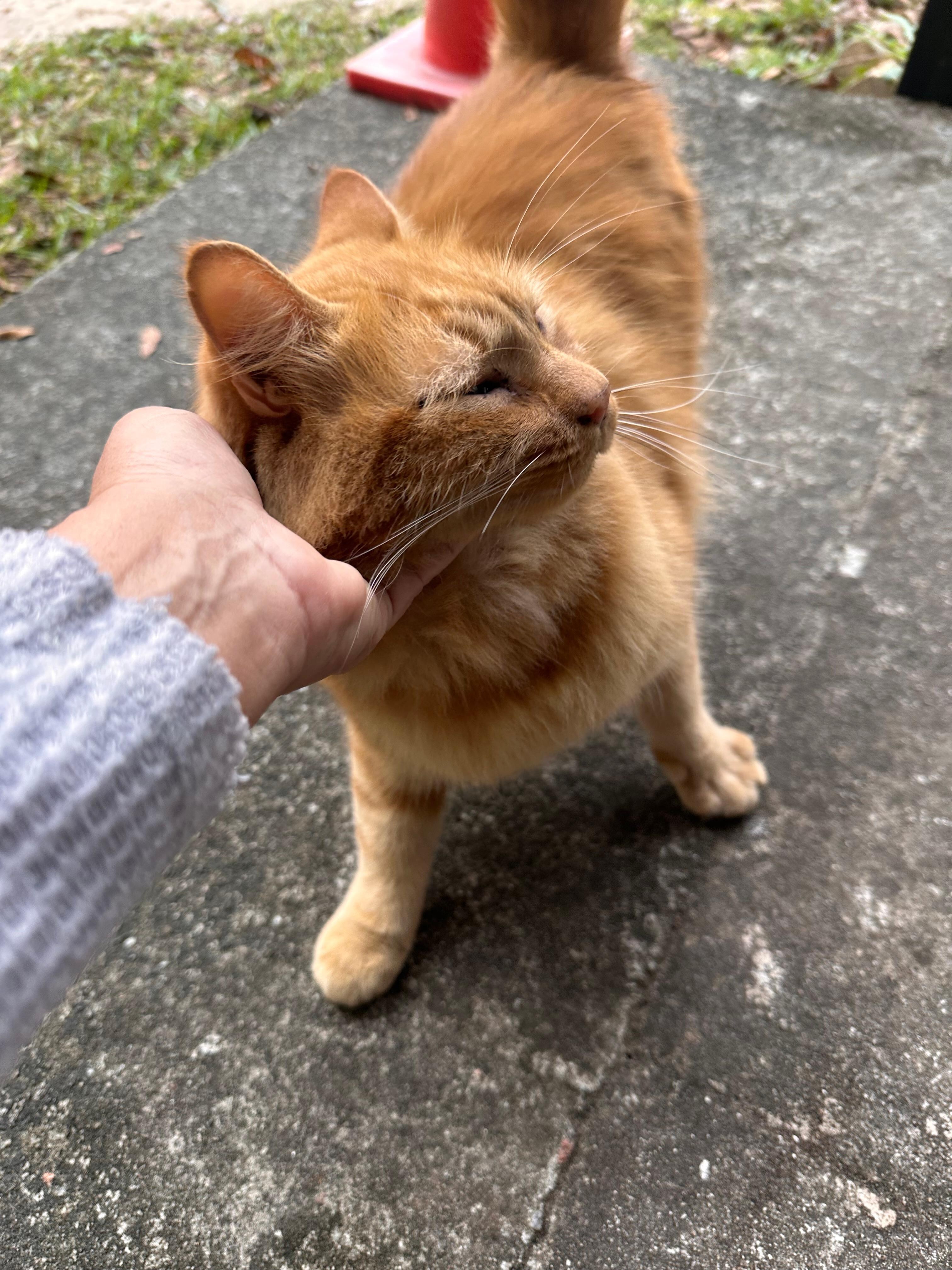 Friendly greeter ❣️