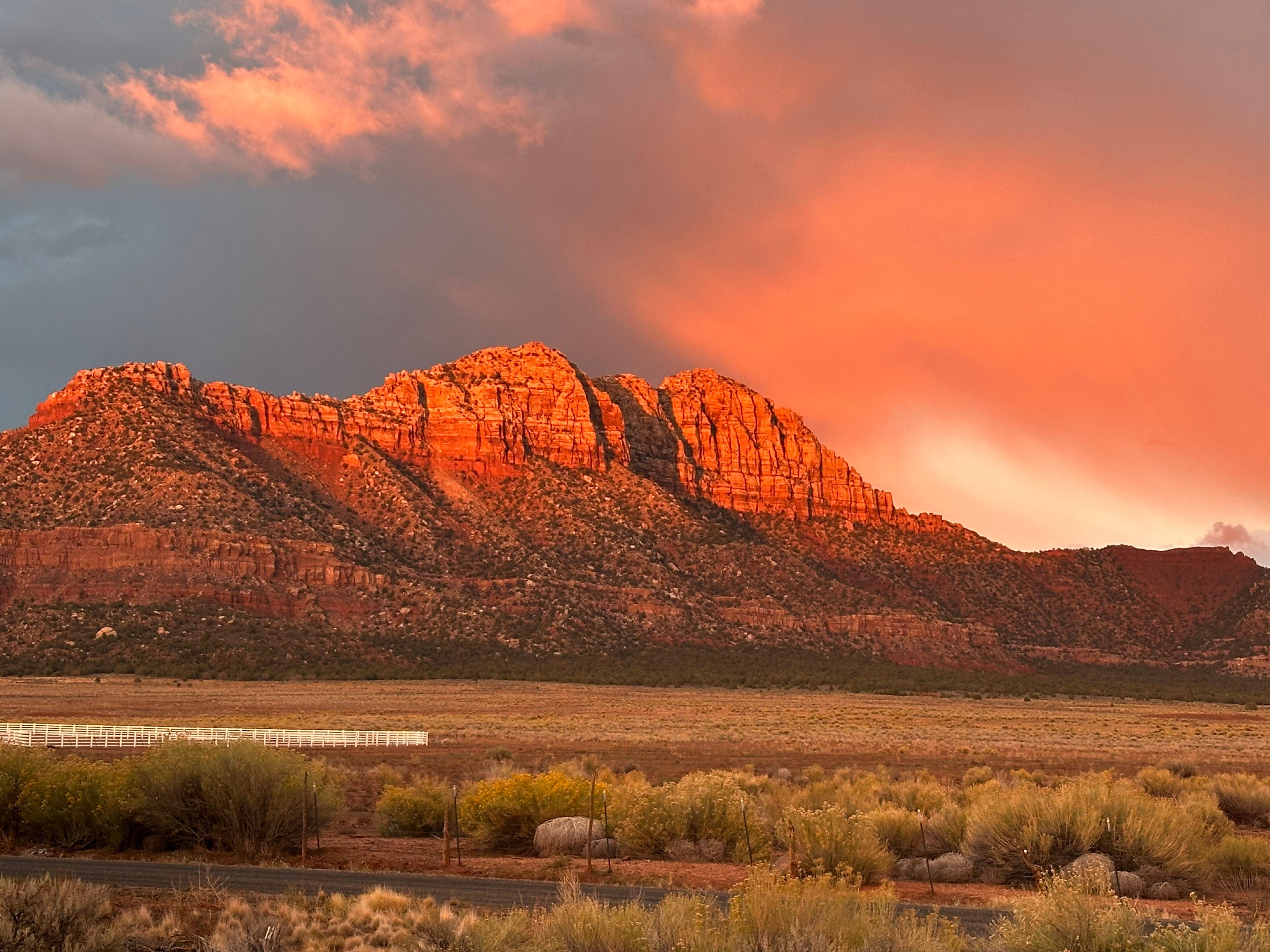 From the house’s deck