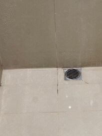 Shower - dirty or stained?