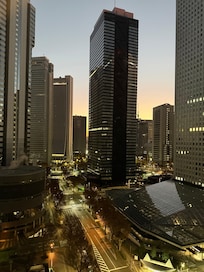 The view from the room