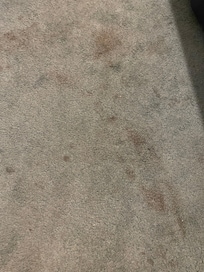 Carpet stained throughout.