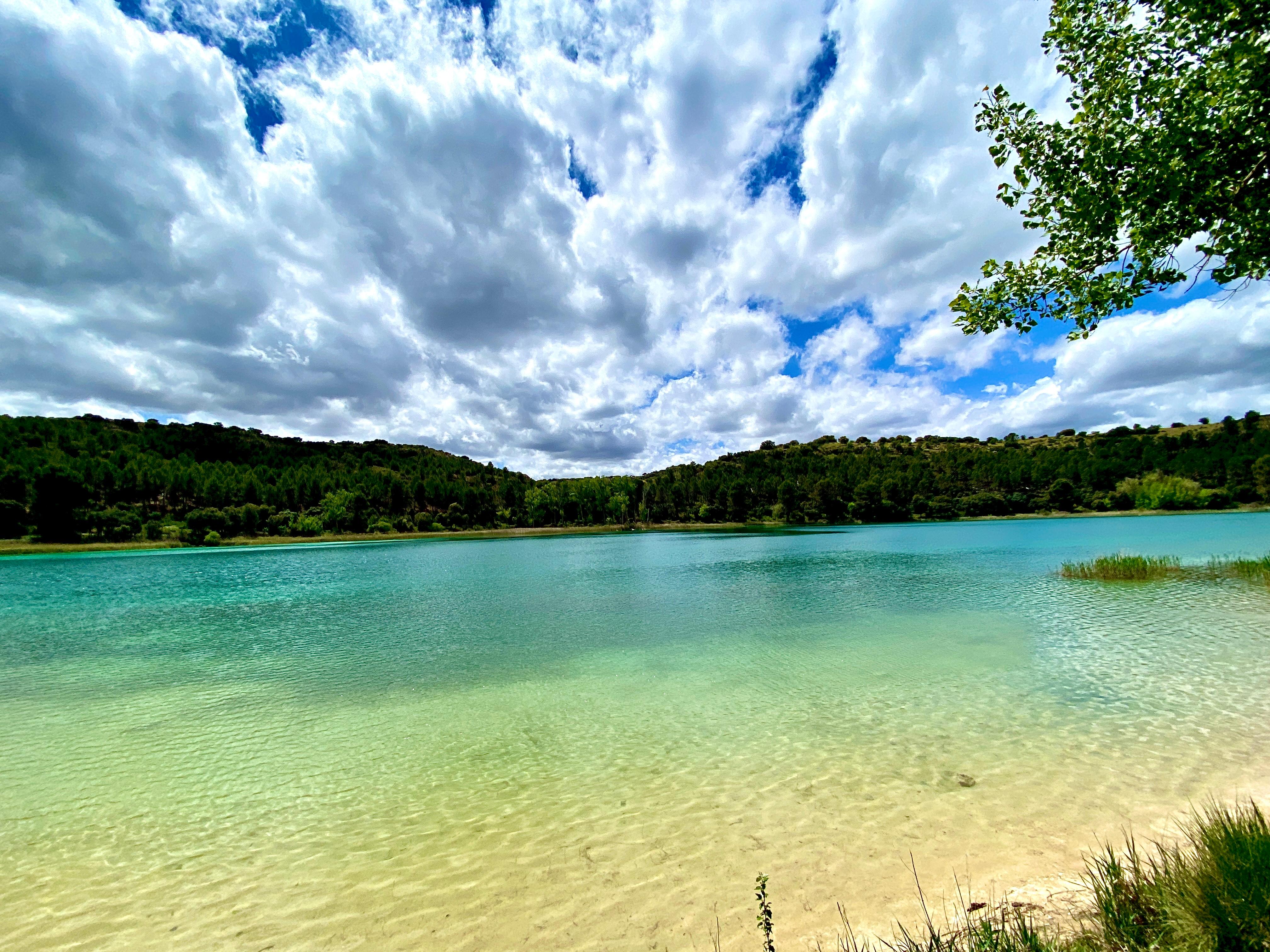 Lagua