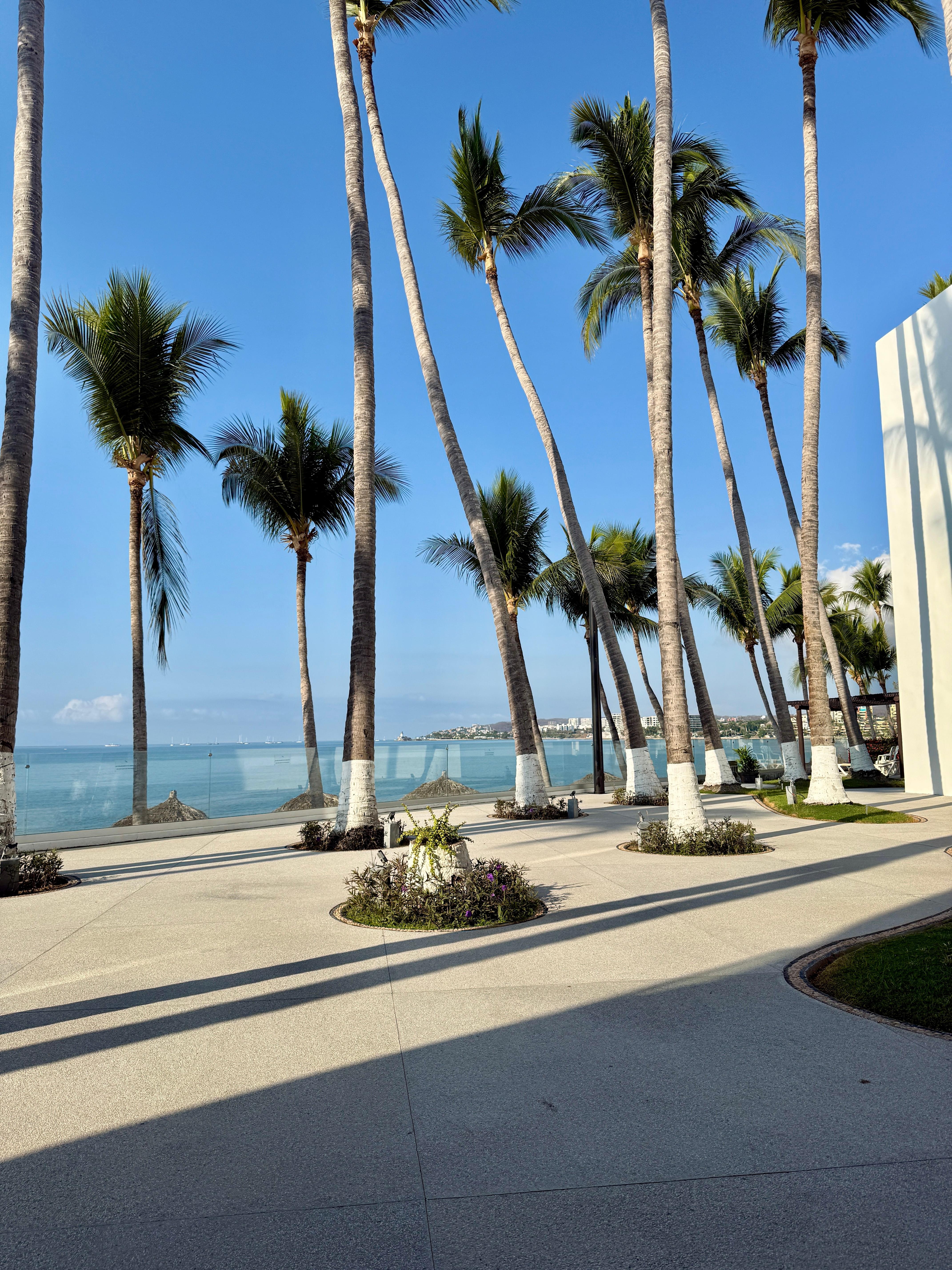 The view from our patio.