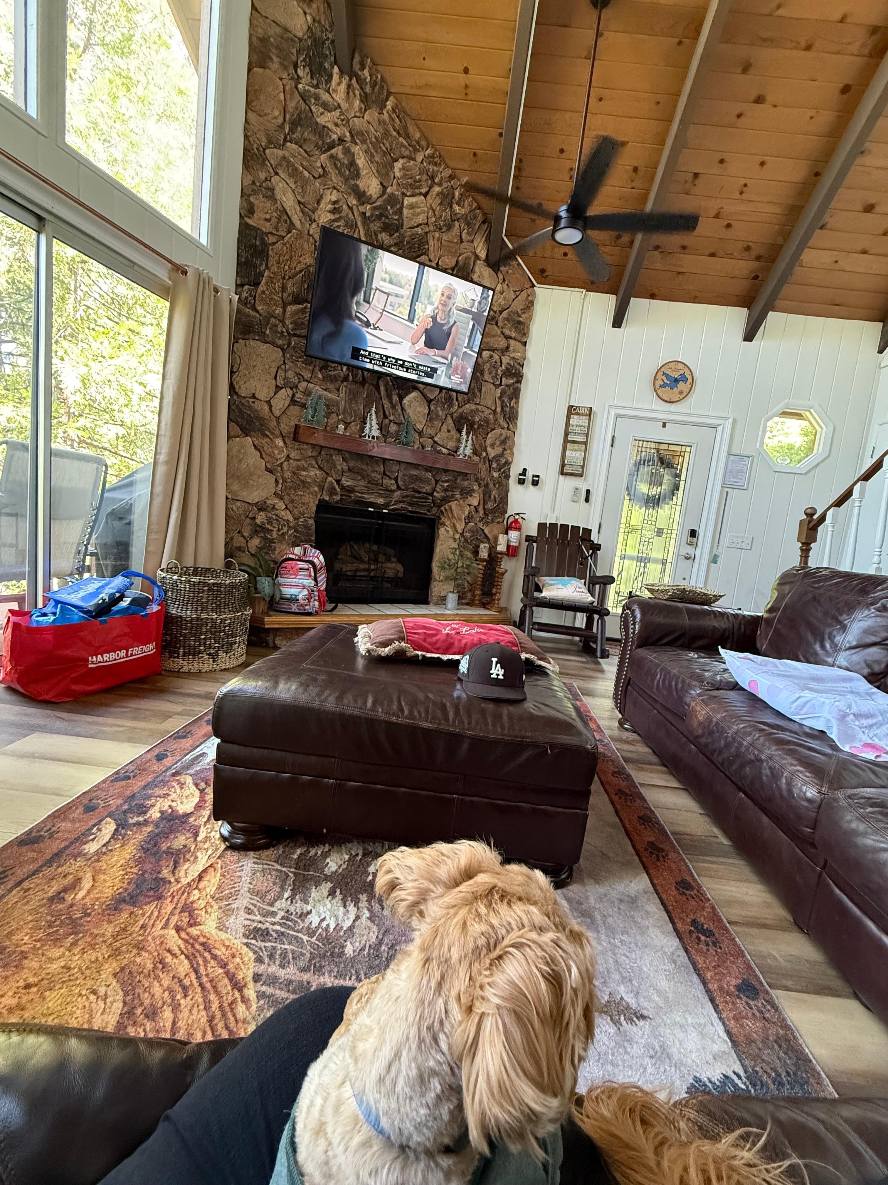 Relaxing on the couch; the windows have great views and offer so much natural light.