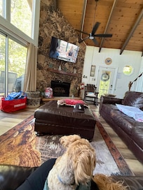 Relaxing on the couch; the windows have great views and offer so much natural light.