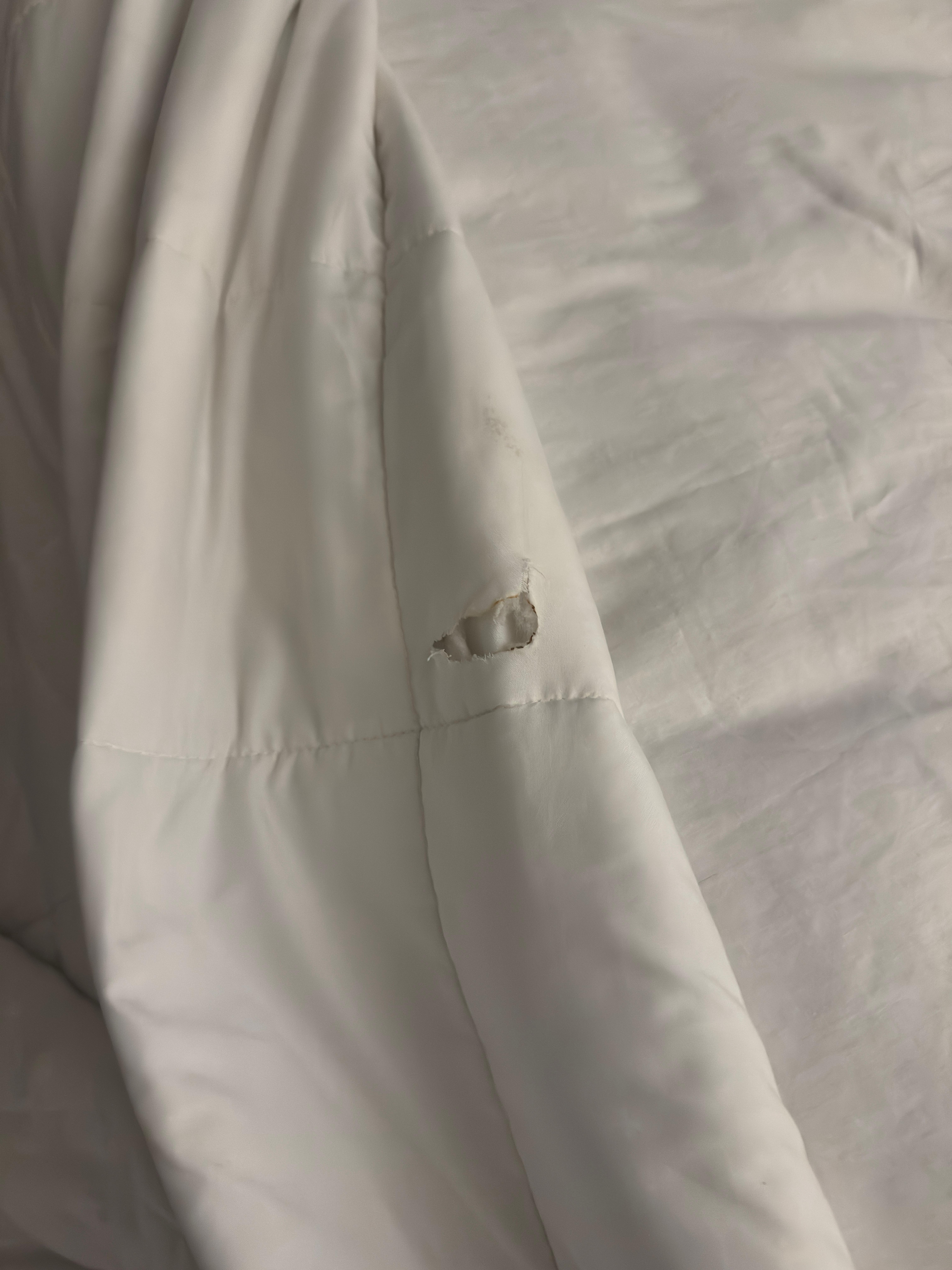 Holes and stains on sheets and blankets 