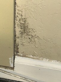 Mold next to AC
