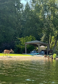 Kayaking Howard Lake