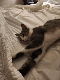 Star staff member and greeter