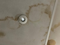 Bathroom ceiling