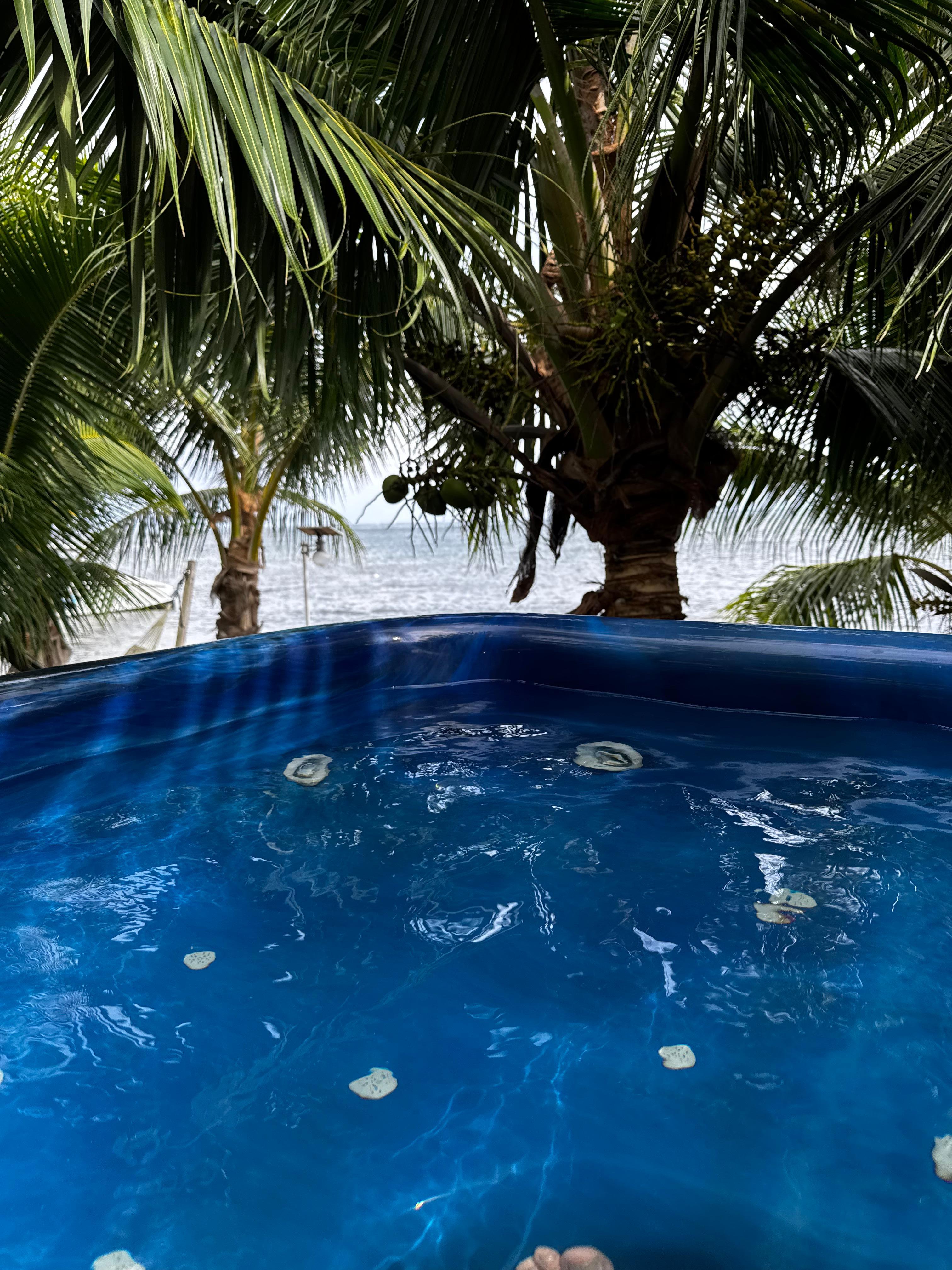 Hot tub just outside our door.