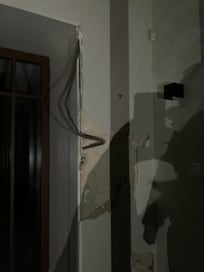 Racine ayant traversé le placoplâtre dans l'entrée témoignant du peu d'entretien de la maison