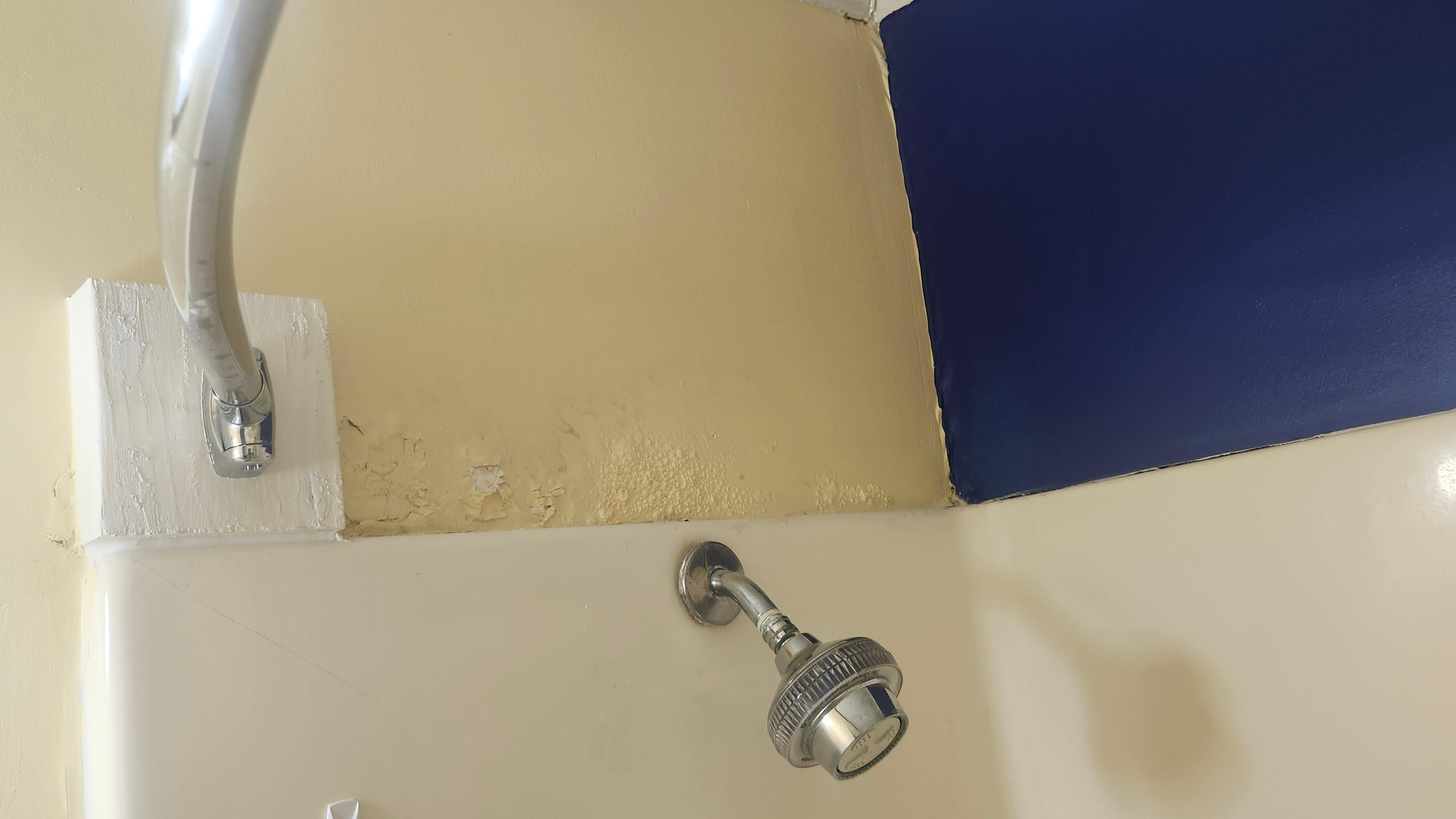 Shower sprays at chest height bc they don't fix all leaking behind wall bubbling everywhere. They're remodel is not remodeling