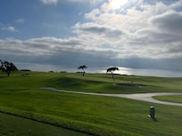 Torrey Pines