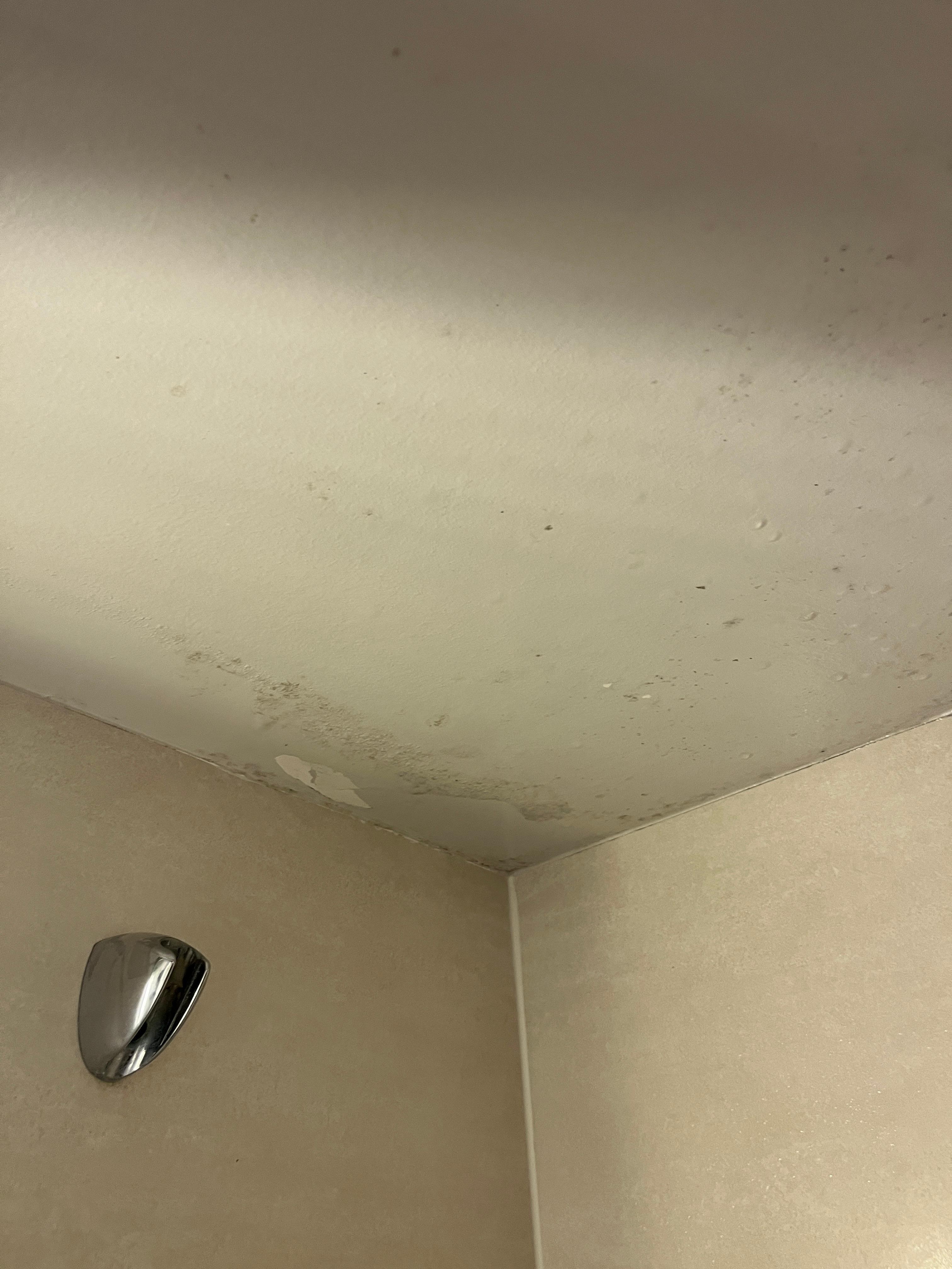 Moisissure dans la salle de bain (très inconfortable pour les personnes de grande taille )