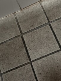 Tiles that have never been mopped