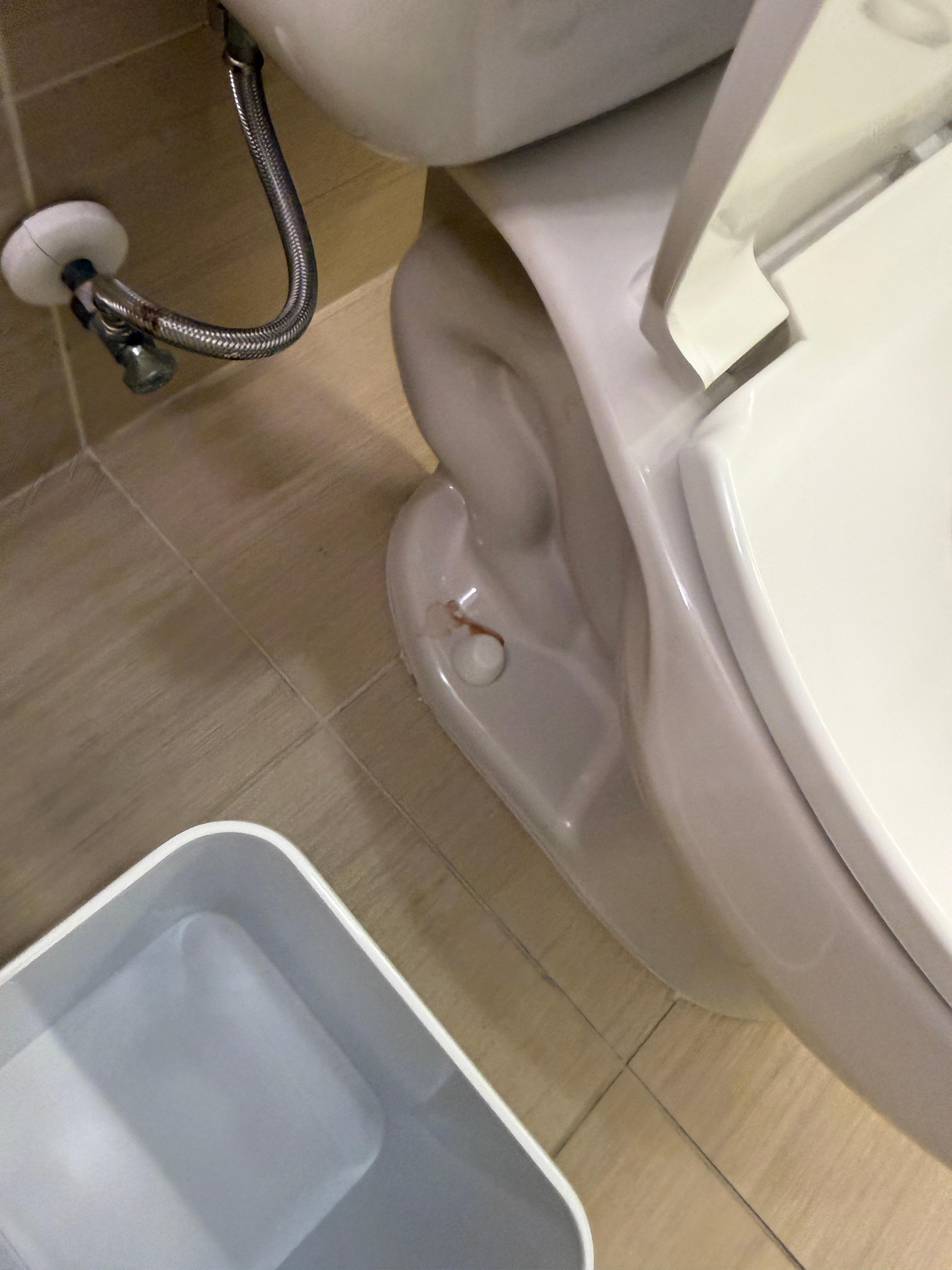 Picture of a toilet today I was checked in, noticed a stain on the bottom left
