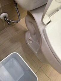 Picture of a toilet today I was checked in, noticed a stain on the bottom left