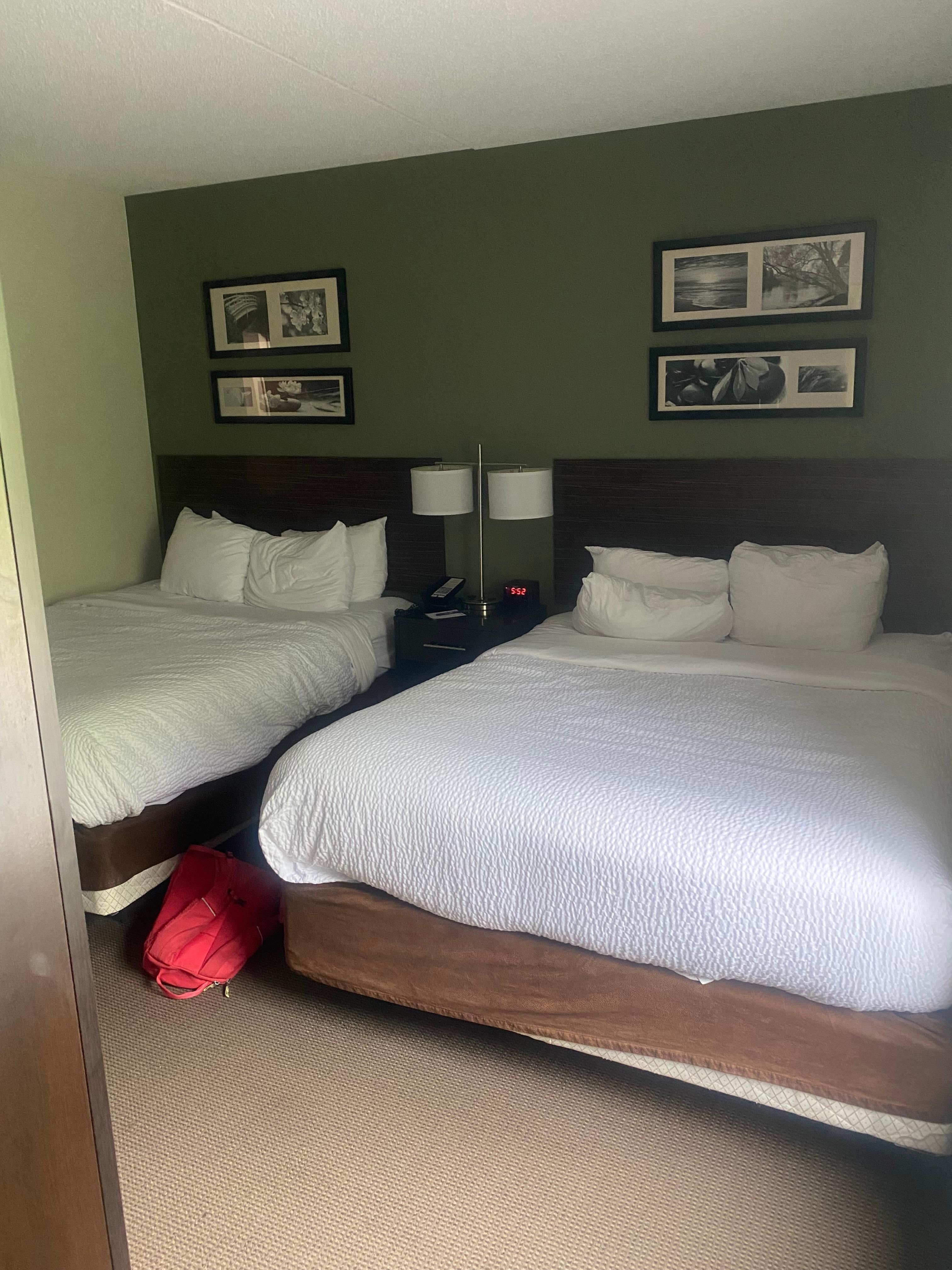 Room 200: Two queen beds with (twin size) pull out couch (uncomfortable springs)