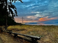 Beach trail