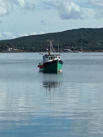 Fishing in Dildo