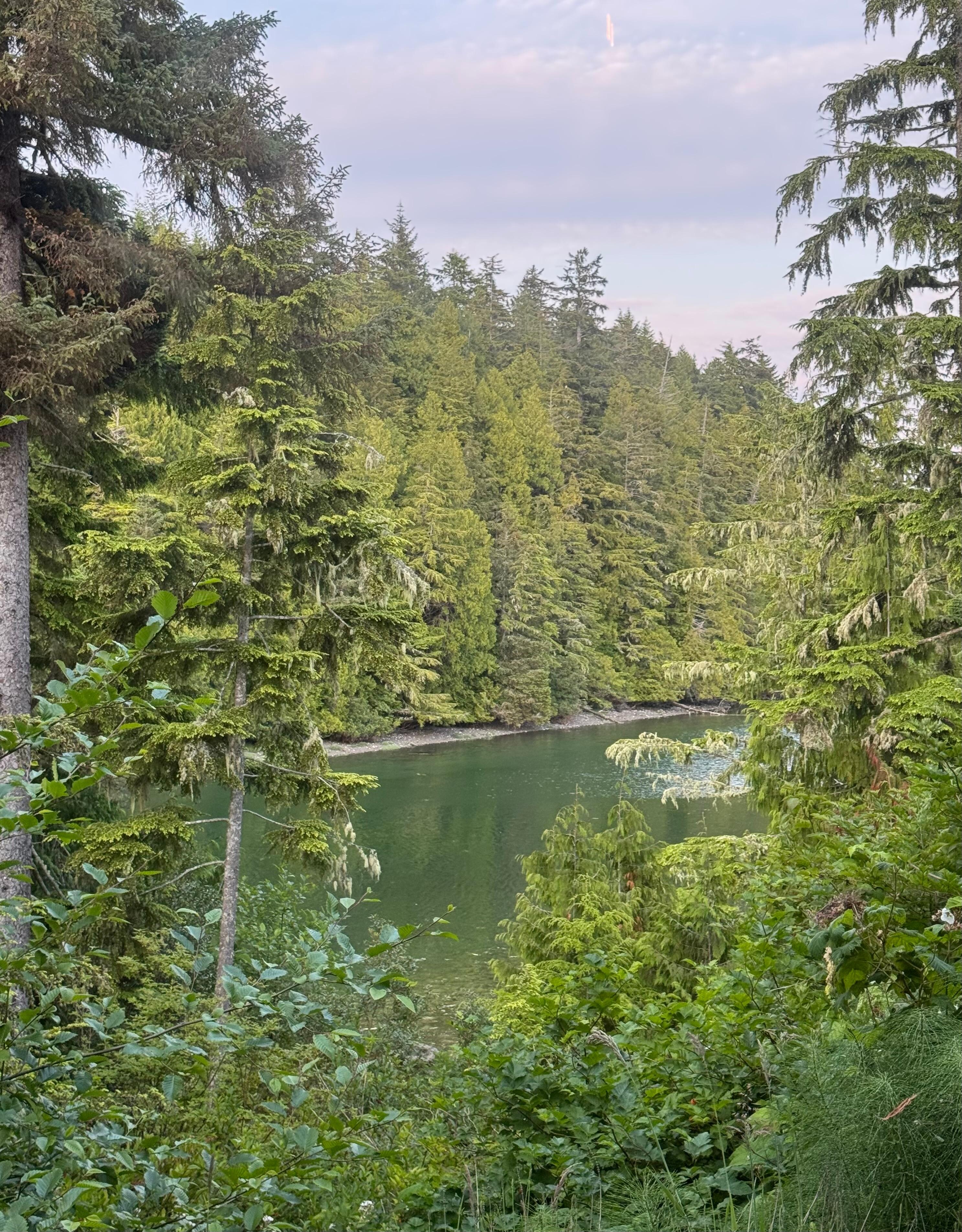 The view from our porch 