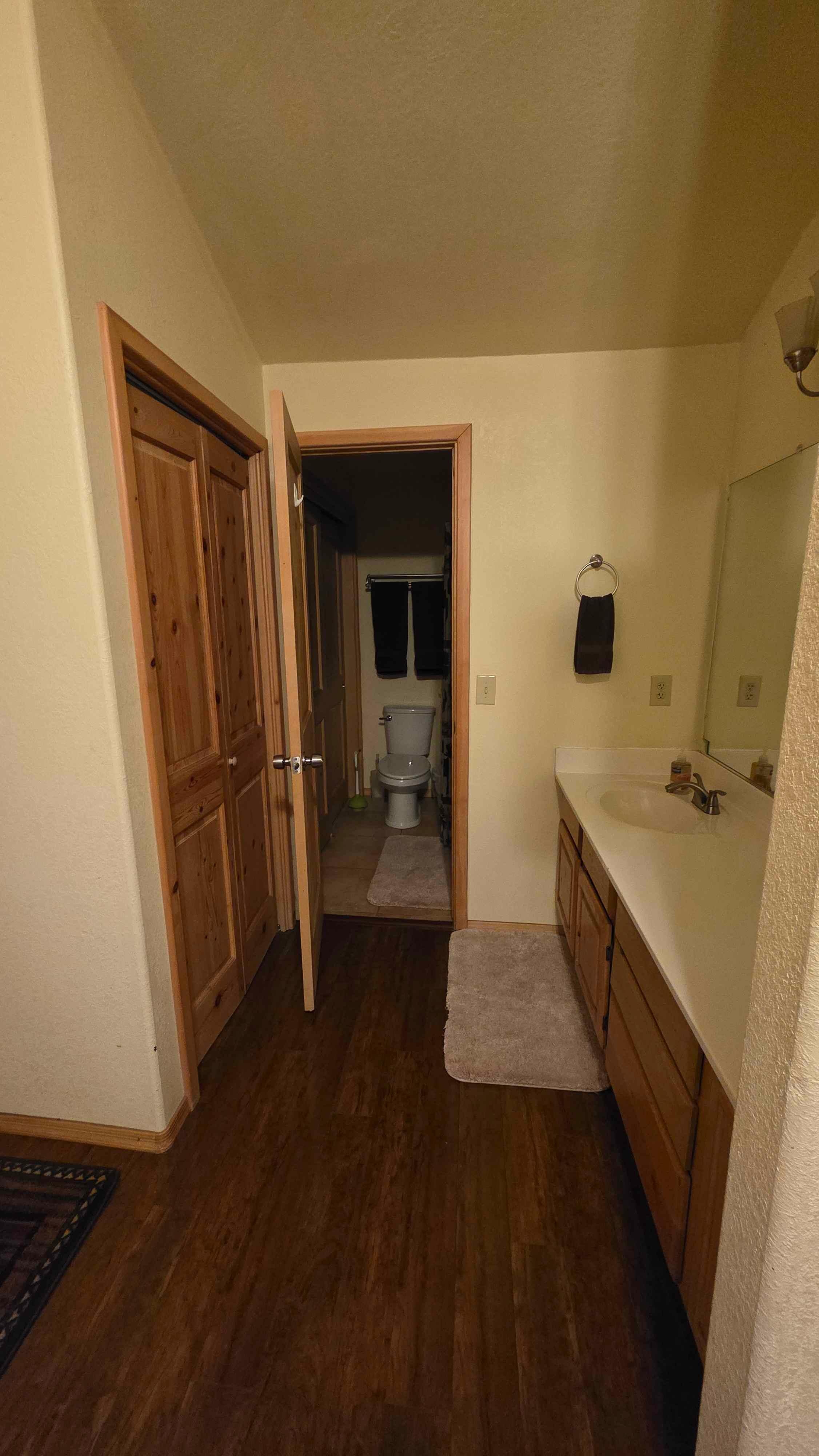 Master/Primary bathroom