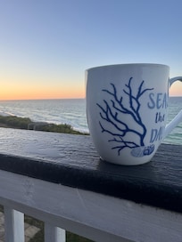 Morning on the back deck
