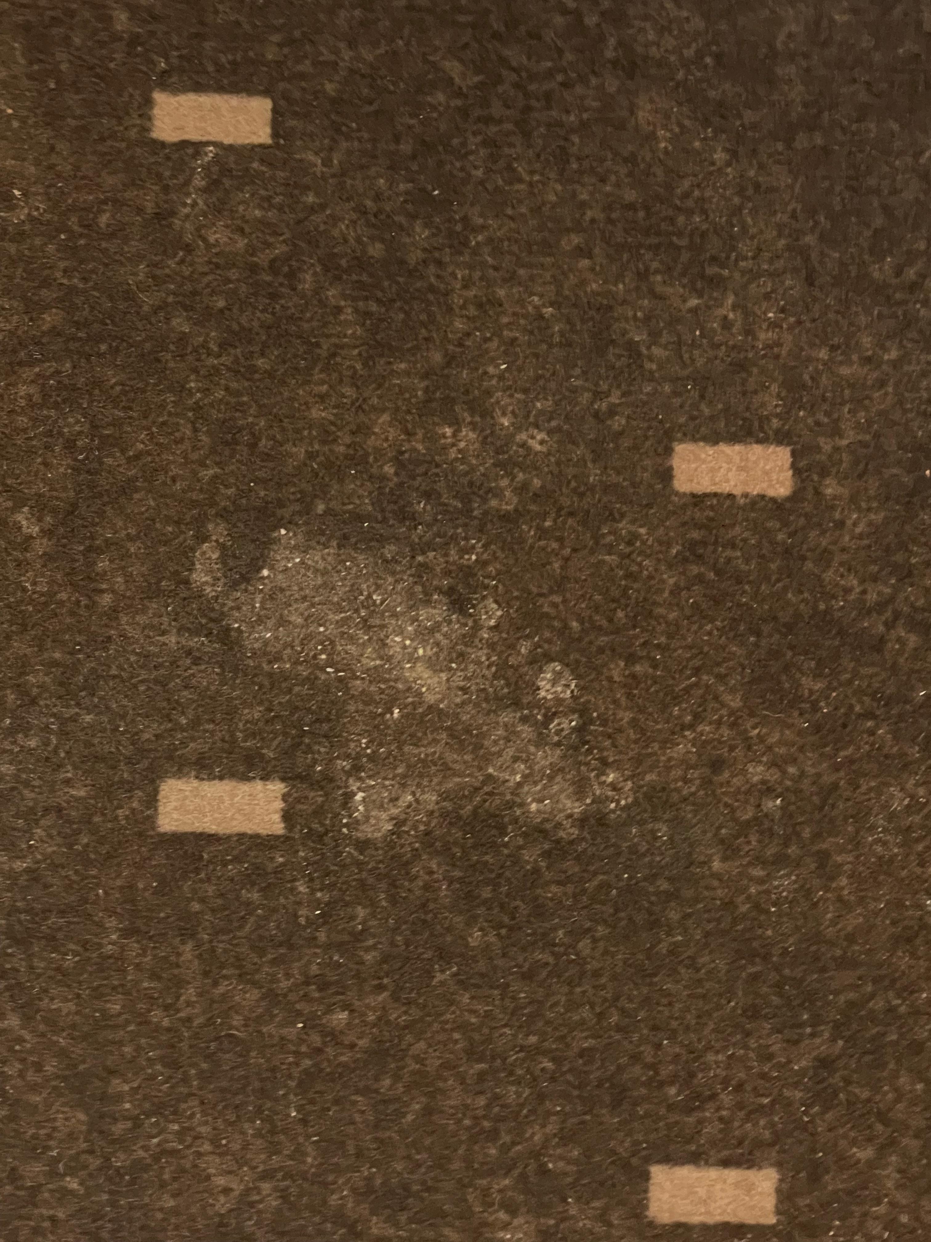 Carpet stain
