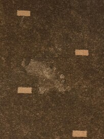 Carpet stain