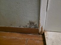 111 mold