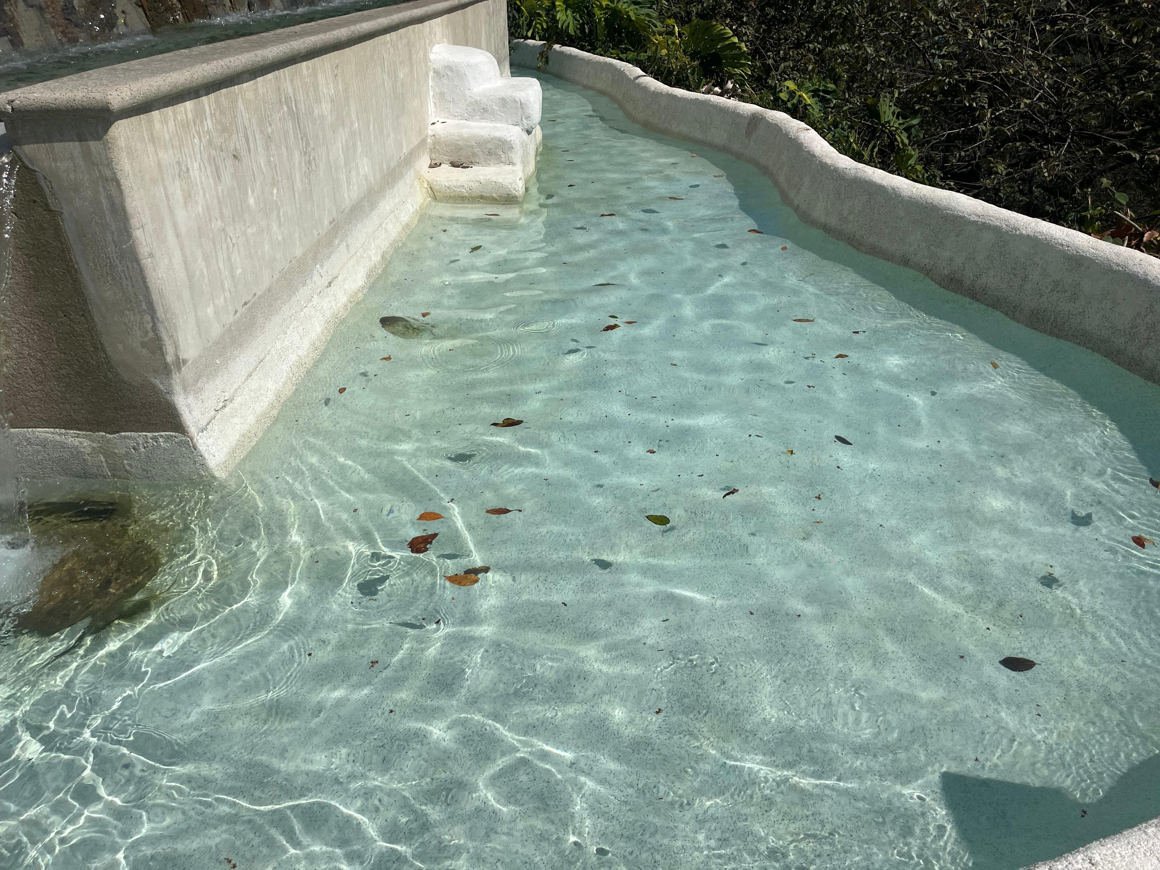 The pool was uninviting