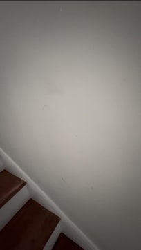 Hard to tell in the photo, but dark streaks, dirt, and filth on all walls.