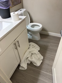 Bathroom when I checked in